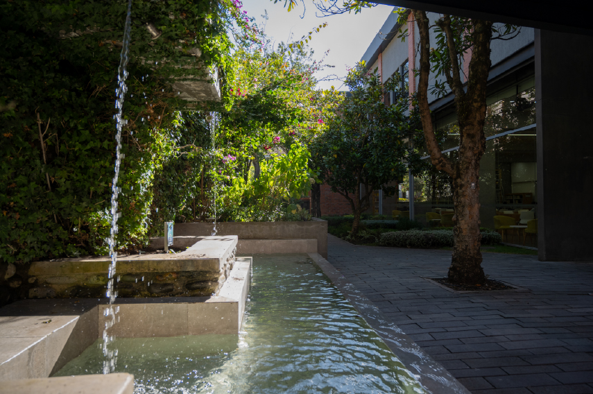 fuentes de agua de la UDA